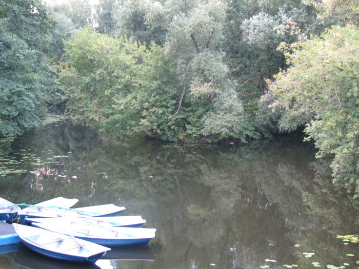 Azeri restoranının bahçesi