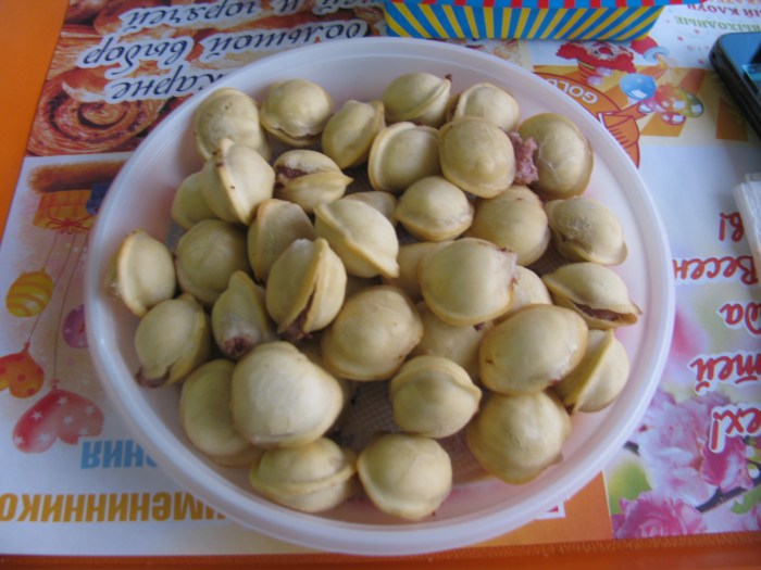 Пельмени (kuru mantı gibi bir şey ama tadı güzel içinde kıyma var)