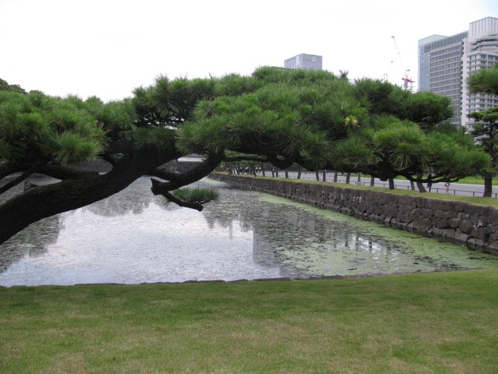 Saray duvarı çevesindeki hendek