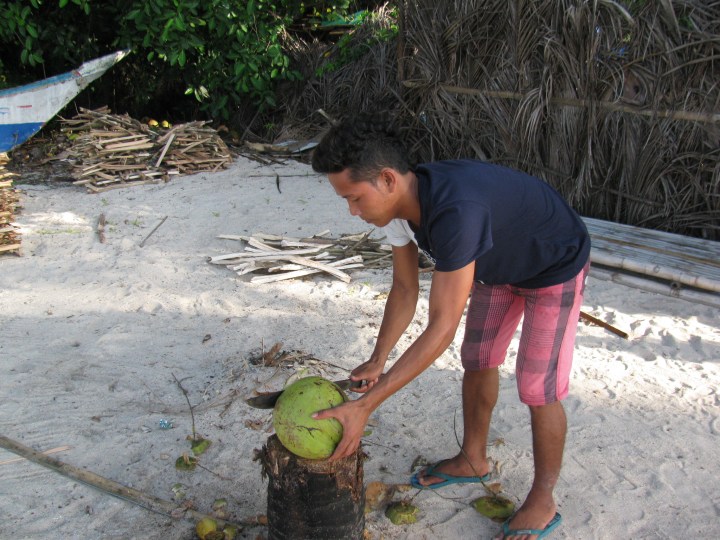 Amigo cevizi hazırlıyor