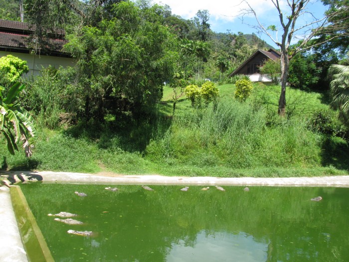 Korkunç görünüyorlar