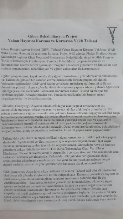 Gibon rehabilite merkezinin brosşürü 1