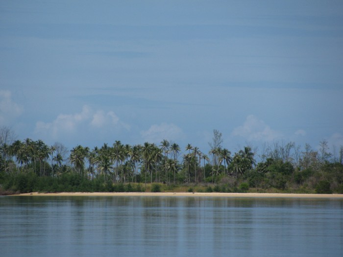 Sarasin köprüsü manzarası