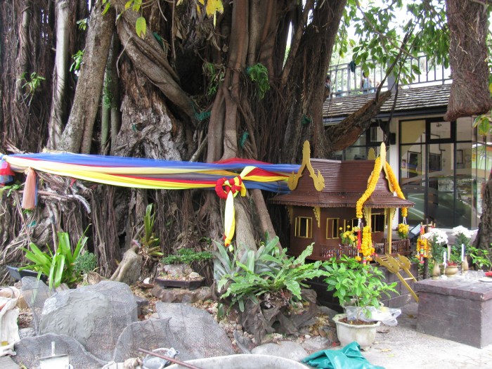 Büyük ağaçlara böyle bez bağlıyorlar