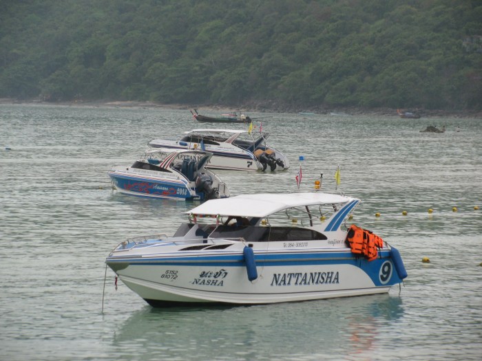 Gündüz Loh Dalum koyu