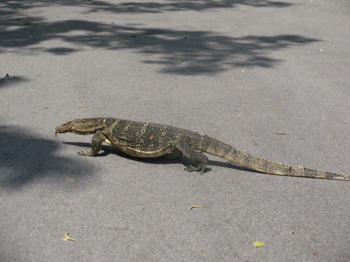 Perkın heryerinde bunlar