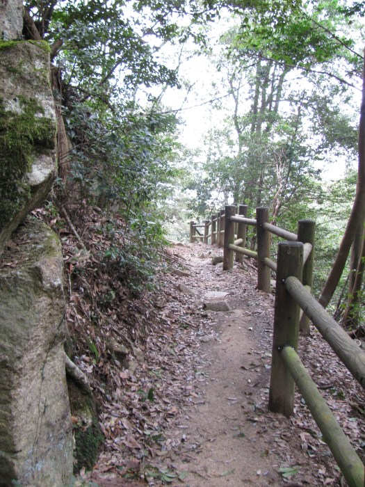 Japonya Miyajima adasındaki yürüyüş yolu