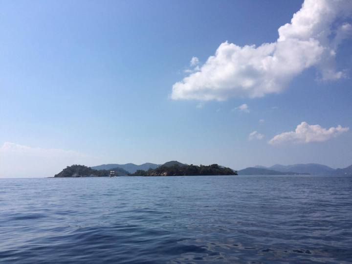 14233347_10154448169782356_1698960337_o