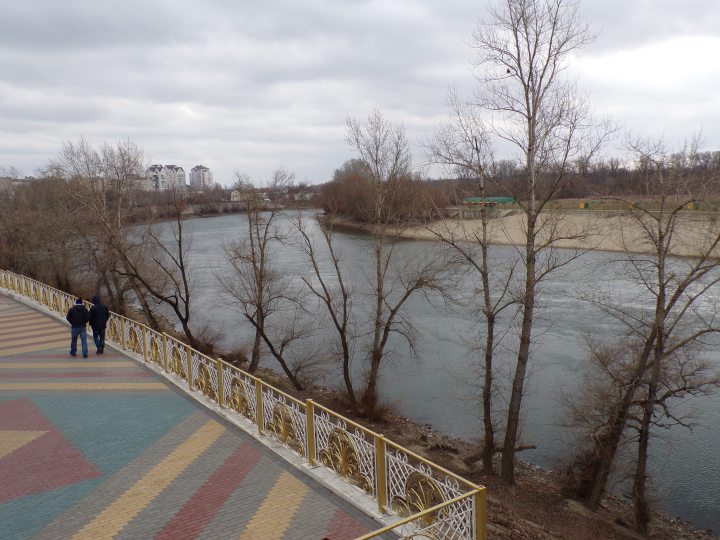 KODAK Digital Still Camera