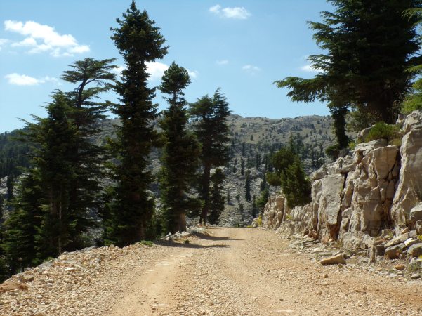 KODAK Digital Still Camera